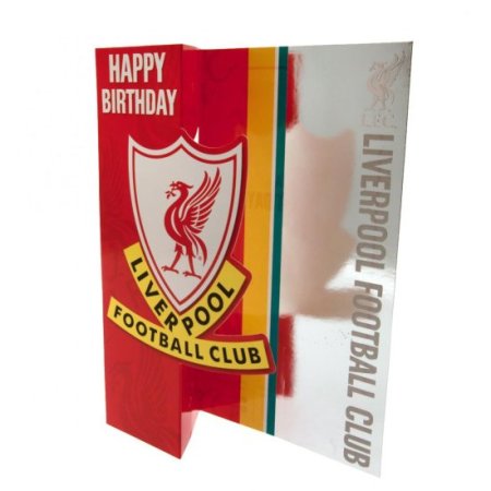 (image for) Liverpool FC Liverbird Birthday Card
