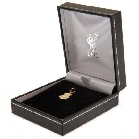 (image for) Liverpool FC 9ct Gold Pendant Crest Small