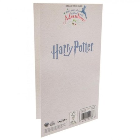 (image for) Harry Potter Birthday Card Sister