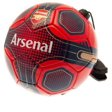 (image for) Arsenal FC Size 2 Skills Trainer