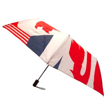 (image for) England FA Automatic Umbrella