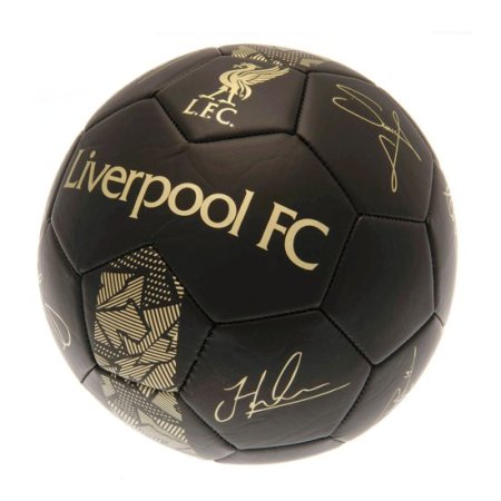 (image for) Liverpool FC Sig Gold Phantom Skill Ball