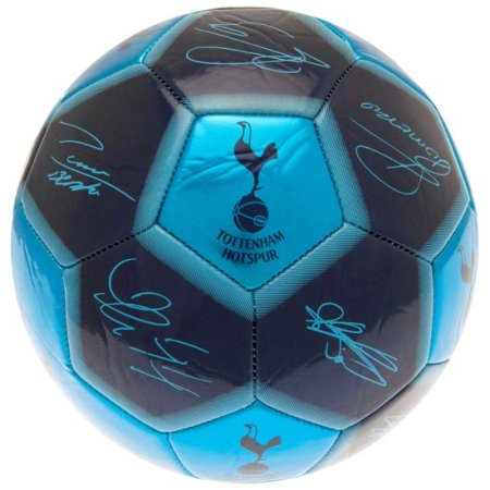 (image for) Tottenham Hotspur FC Sig 26 Football