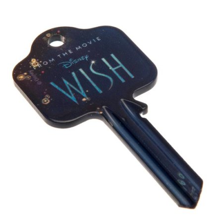 (image for) Wish Door Key Asha