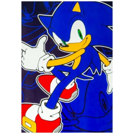 (image for) Sonic The Hedgehog Fleece Blanket