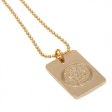 (image for) Leicester City FC Gold Plated Dog Tag & Chain