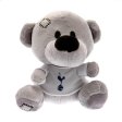 (image for) Tottenham Hotspur FC Timmy Bear