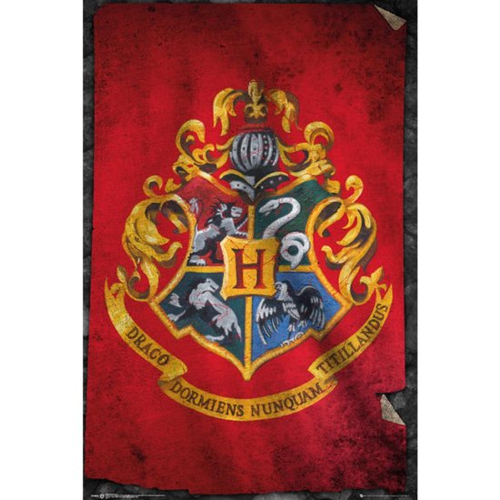(image for) Harry Potter Poster Hogwarts 262