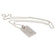 (image for) West Ham United FC Silver Plated Dog Tag & Chain