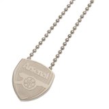 (image for) Arsenal FC Stainless Steel Pendant & Chain