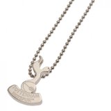 (image for) Tottenham Hotspur FC Stainless Steel Pendant & Chain