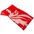 (image for) Liverpool FC Core Crest Flag