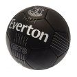 (image for) Everton FC React Skill Ball