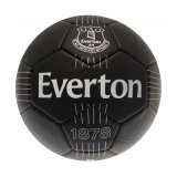 (image for) Everton FC React Skill Ball