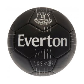 Everton FC React Skill Ball