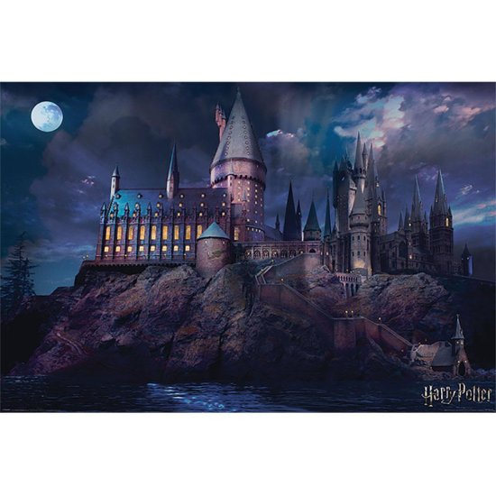 (image for) Harry Potter Poster Hogwarts Night 299