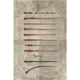 (image for) Harry Potter Poster Wands 161