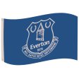 (image for) Everton FC Core Crest Flag