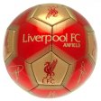 (image for) Liverpool FC Signature Football