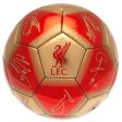 (image for) Liverpool FC Signature Football