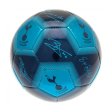 (image for) Tottenham Hotspur FC Signature Skill Ball