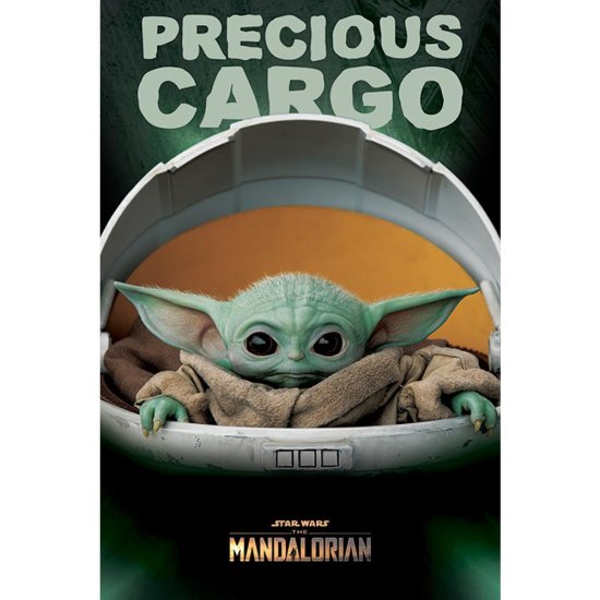 (image for) Star Wars: The Mandalorian Poster Precious Cargo 168