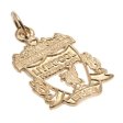 (image for) Liverpool FC 9ct Gold Pendant Crest Small