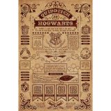 (image for) Harry Potter Poster Hogwarts Quidditch 173