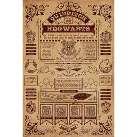 Harry Potter Poster Hogwarts Quidditch 173