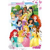 (image for) Disney Princess Poster 286