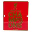 (image for) Liverpool FC Premier League Champions Window Sign