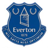 (image for) Everton FC 3D Fridge Magnet