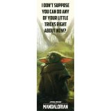 (image for) Star Wars: The Mandalorian Door Poster 307