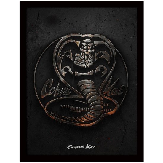 (image for) Cobra Kai Framed Picture 16 x 12