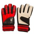 (image for) Liverpool FC Delta Goalkeeper Gloves Kids