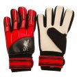 (image for) Liverpool FC Delta Goalkeeper Gloves Yths