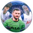 (image for) Tottenham Hotspur FC Players Photo Football