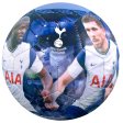 (image for) Tottenham Hotspur FC Players Photo Football