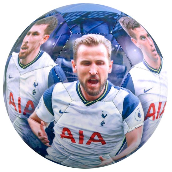 (image for) Tottenham Hotspur FC Players Photo Football