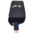 (image for) Tottenham Hotspur FC Colour React Boot Bag