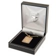 (image for) Arsenal FC Gold Plated Dog Tag & Chain