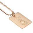 (image for) Tottenham Hotspur FC Gold Plated Dog Tag & Chain
