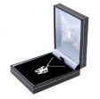 (image for) Chelsea FC Sterling Silver Pendant & Chain LN