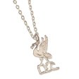 (image for) Liverpool FC Silver Plated Pendant & Chain LB