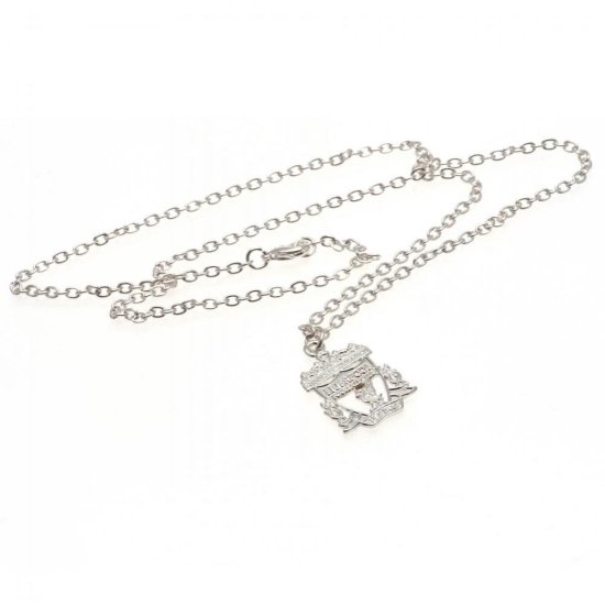 (image for) Liverpool FC Silver Plated Pendant & Chain CR - Click Image to Close