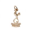 (image for) Tottenham Hotspur FC 9ct Gold Pendant