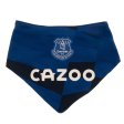 (image for) Everton FC 2 Pack Bibs