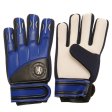 (image for) Chelsea FC Goalkeeper Gloves Yths DT