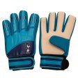 (image for) Tottenham Hotspur FC Goalkeeper Gloves Yths DT