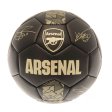 (image for) Arsenal FC Sig Gold Phantom Skill Ball